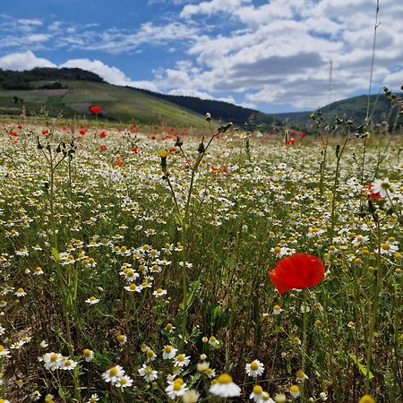 Das Rote Ferienhaus Terlinden Lieser Exteriör bild