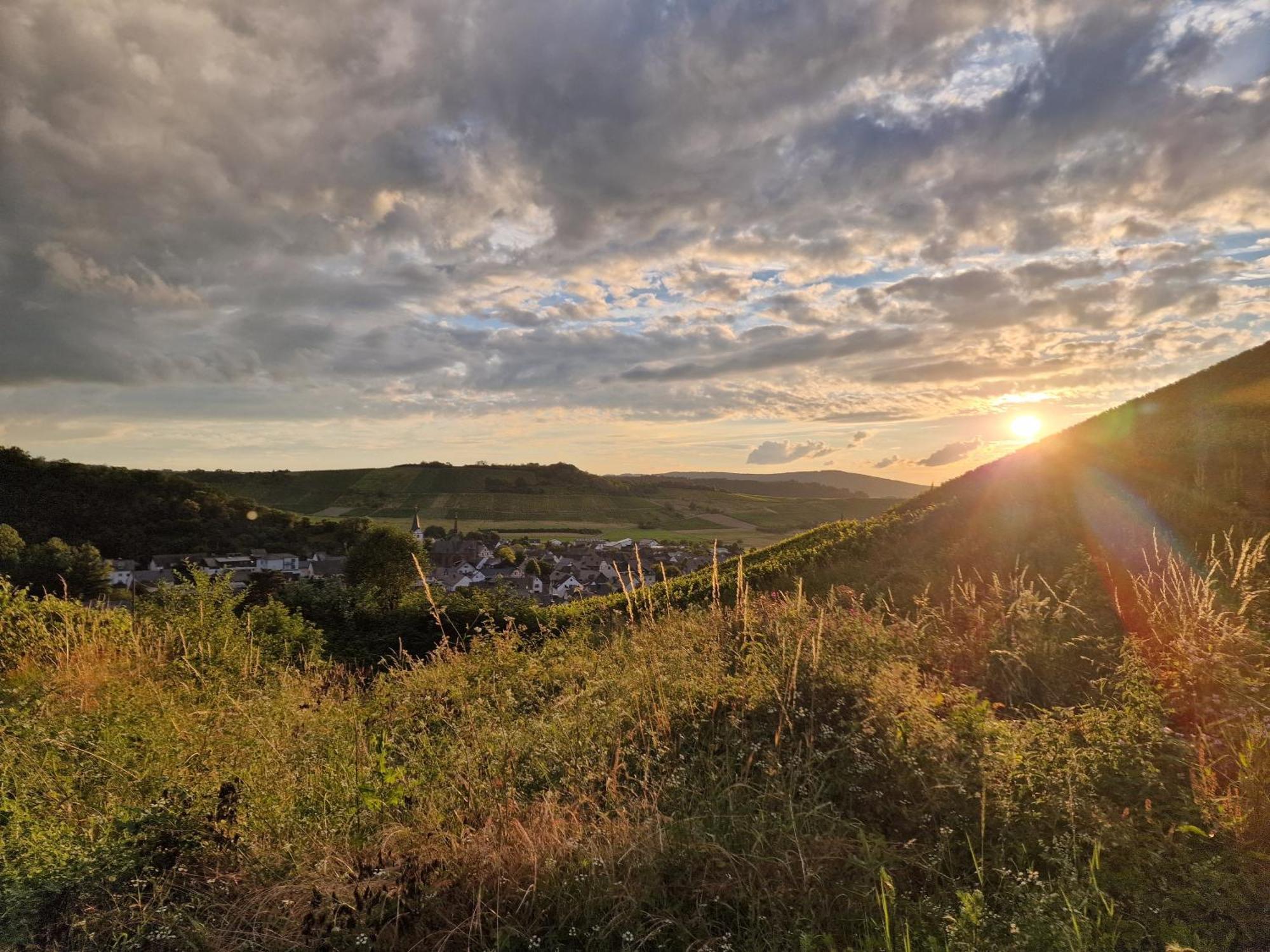Das Rote Ferienhaus Terlinden Lieser Exteriör bild